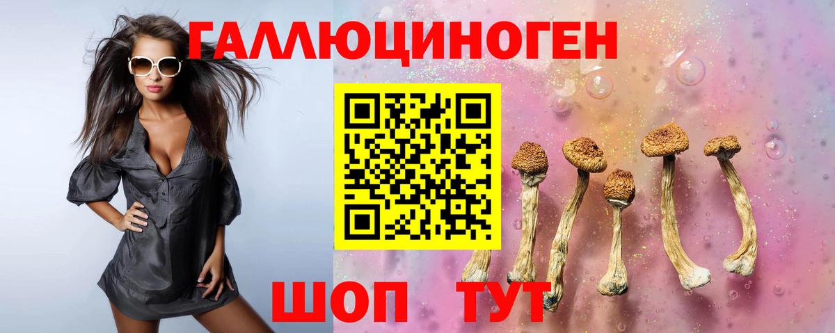 наркотики  Галлюциногенные грибы MAGIC MUSHROOMS  Вход с VPN  Владивосток  Галлюциногенные грибы MAGIC MUSHROOMS 