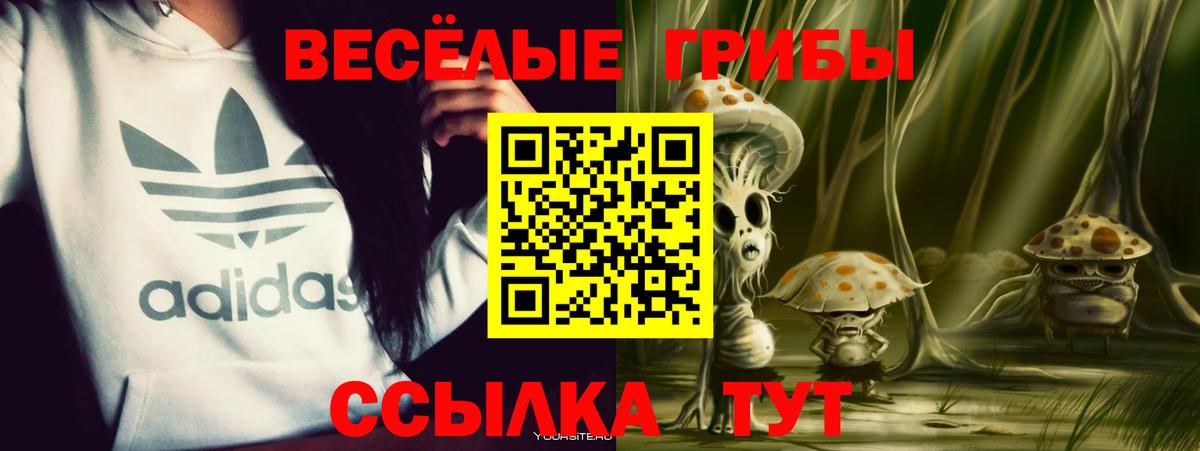 Псилоцибиновые грибы ЛСД Владивосток